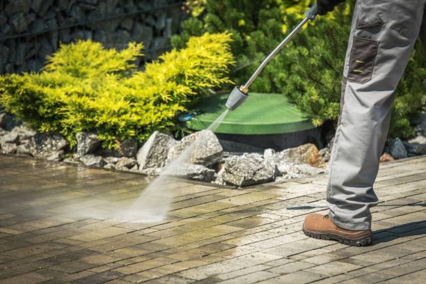Best Animal Enclosure Cleaning  in Woodland, CA