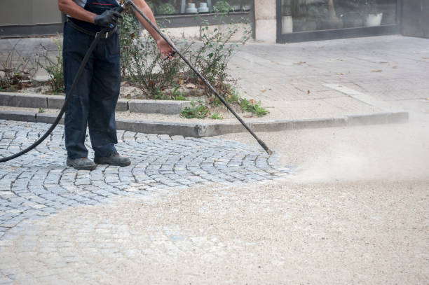 Best Dumpster Area Cleaning  in Woodland, CA