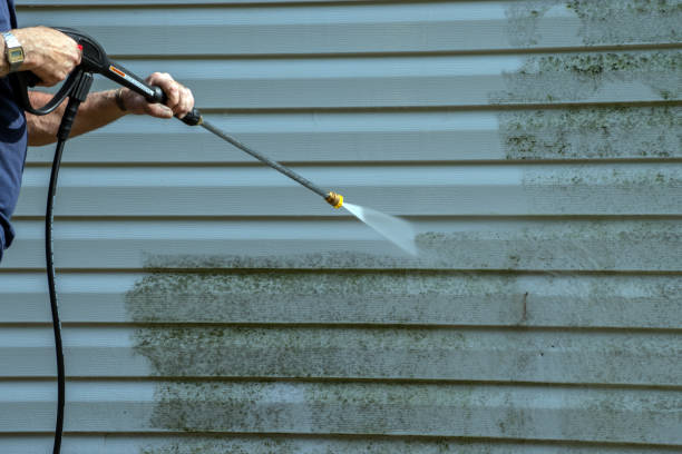 Best Driveway Pressure Washing  in Woodland, CA